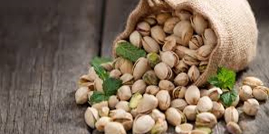 قطعی برق صنعت پسته رفسنجان را تهدید می کند