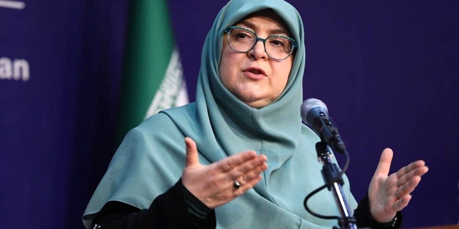 مهاجرانی: گفت‌وگو در خصوص مسائل هسته‌ای با شرایط پیچیده مواجه شده است