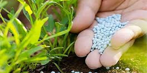 ایران در تولید کودهای شیمیایی خودکفا است