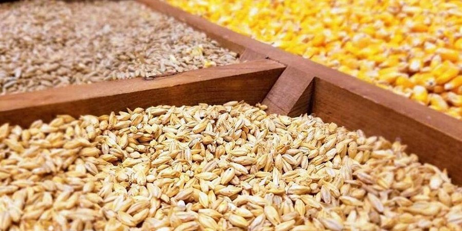 علت نوسان قیمت و کمبود نهاده دامی در بازار چیست؟