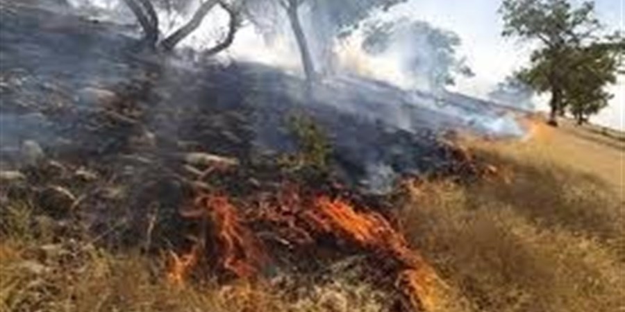 نبرد سخت ۵ روزه برای اطفای حریق در مریوان/انجام ۳۲ سورتی پرواز بالگرد