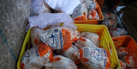 پیش بینی کاهش ۱۵ تا ۲۰ درصدی تولید مرغ