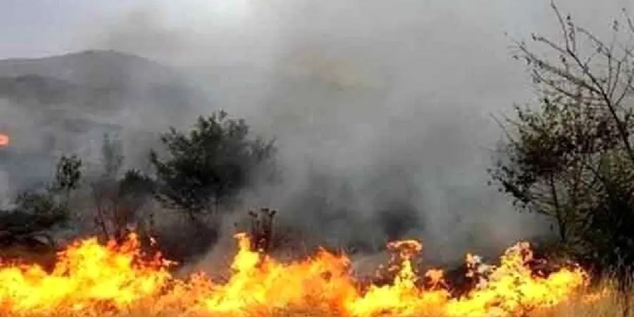 جنگل ابر شاهرود در چنگال آتش