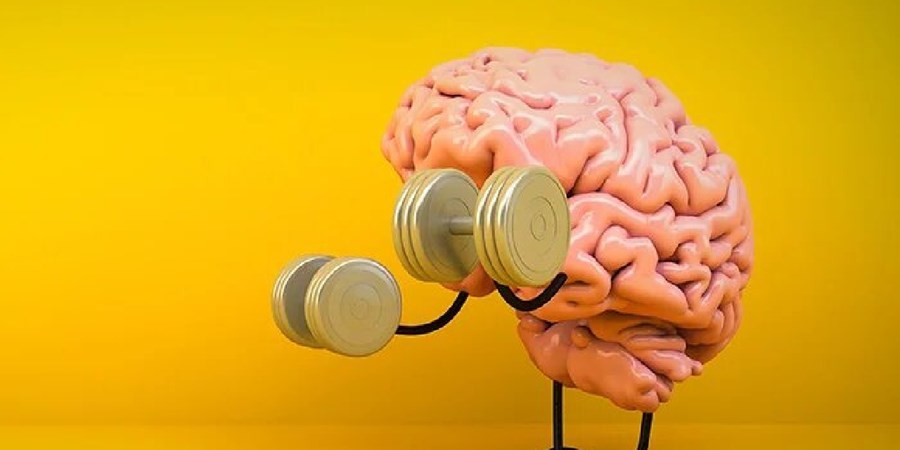 ۳ تمرین برای تقویت حافظه