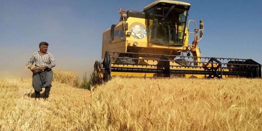 خرید تضمینی گندم به ۷ میلیون و ۲۰۰ هزارتن رسید